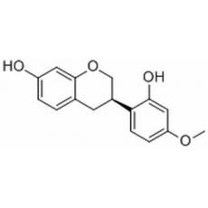 維斯體素
