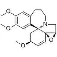 臺(tái)灣三尖杉?jí)A